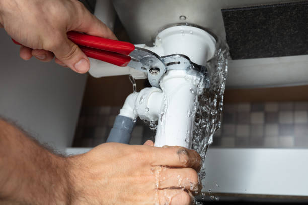 Best Flood damage cleanup  in Closter, NJ