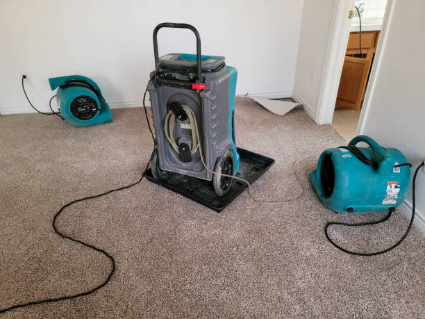 Best Flooded house restoration  in Closter, NJ
