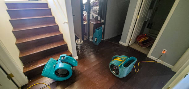 Best Carpet water damage restoration  in Closter, NJ