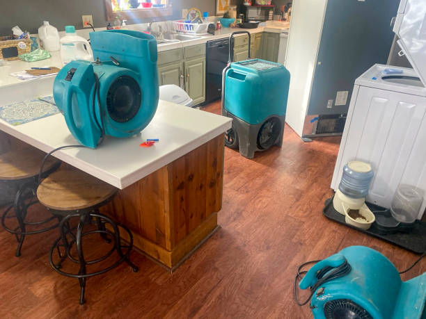 Best Local water damage restoration  in Closter, NJ