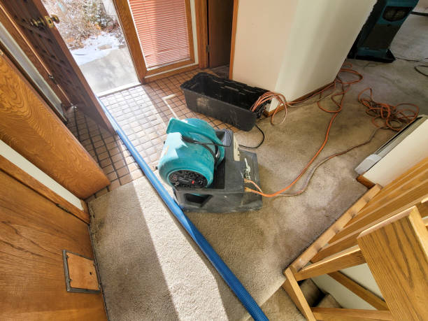 Best Mold removal after water damage  in Closter, NJ