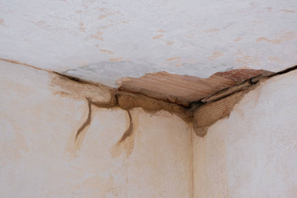 Best Mold removal after water damage  in Closter, NJ