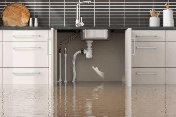 Water damage restoration insurance claims in Closter, NJ